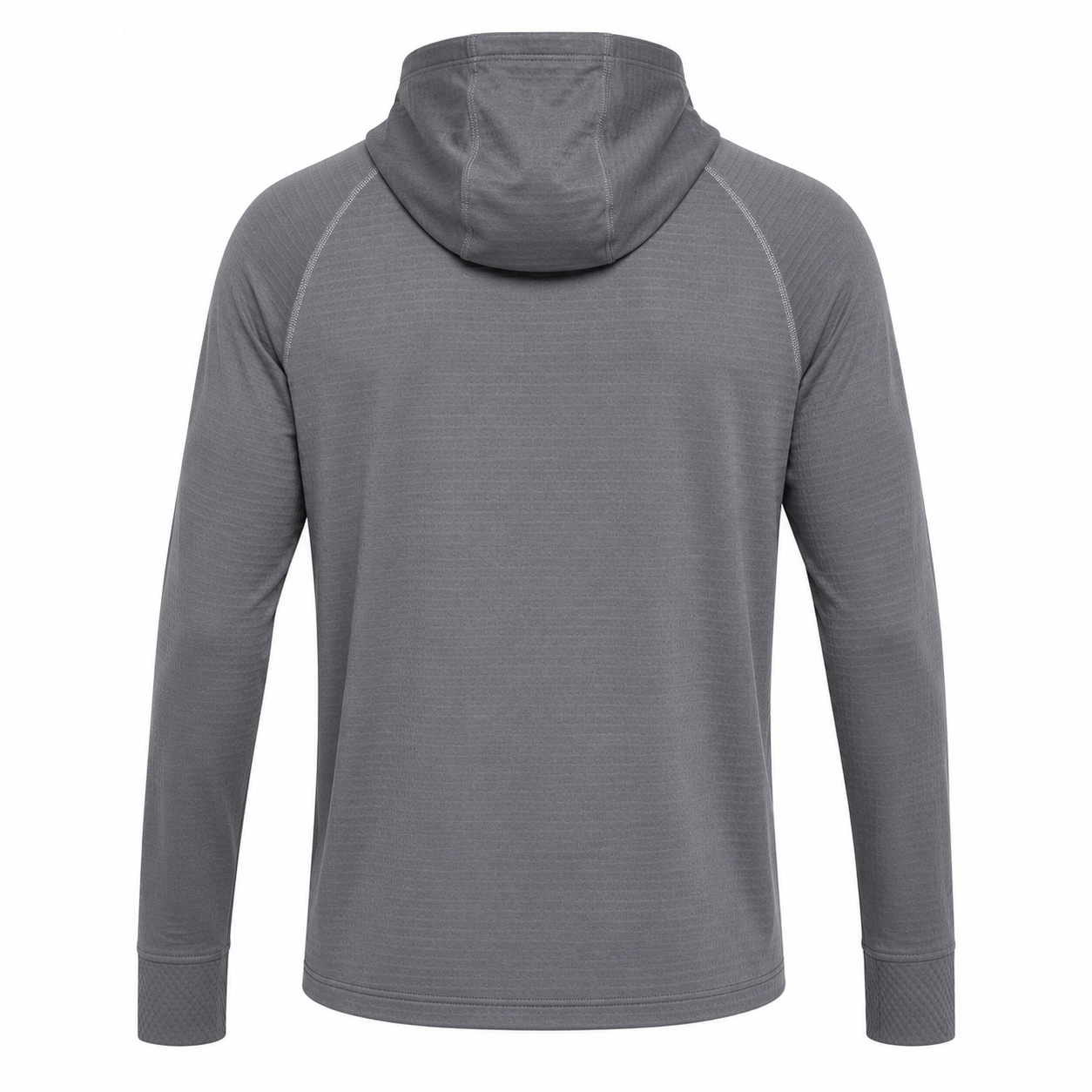 Sudadera Under Armour Raglan Performance gris con capucha para hombre - vista posterior